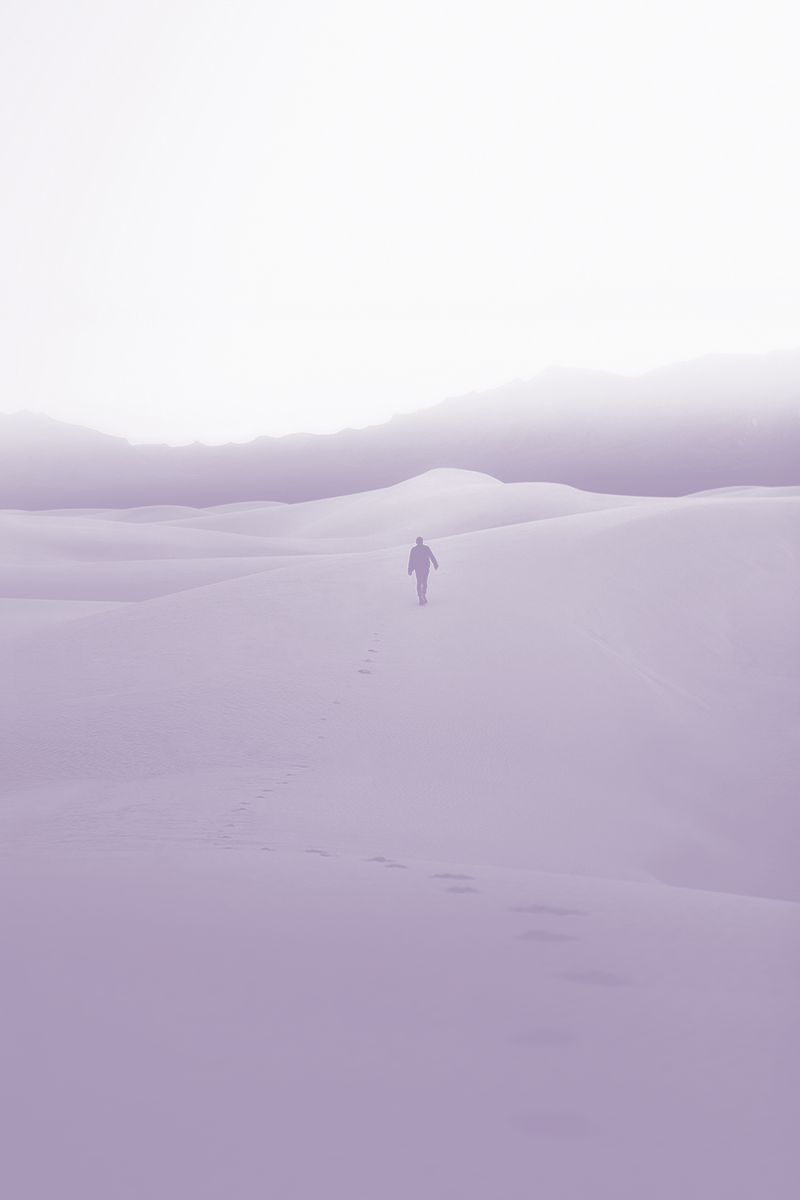Wholy-Walk-Transformationsweg-wholy-design-coaching Wholy Walk - Dein Transformationsweg (zurück) zu dir